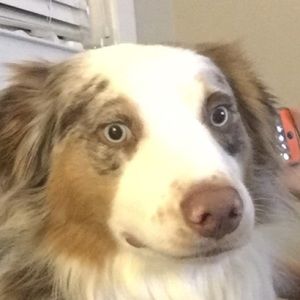 Meet your Posher, Mitchell